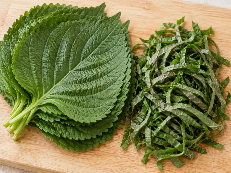 깻잎 손질 예시 · AI 생성 이미지